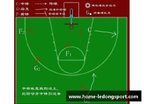 全面解析篮球球员分布与战术配置对比